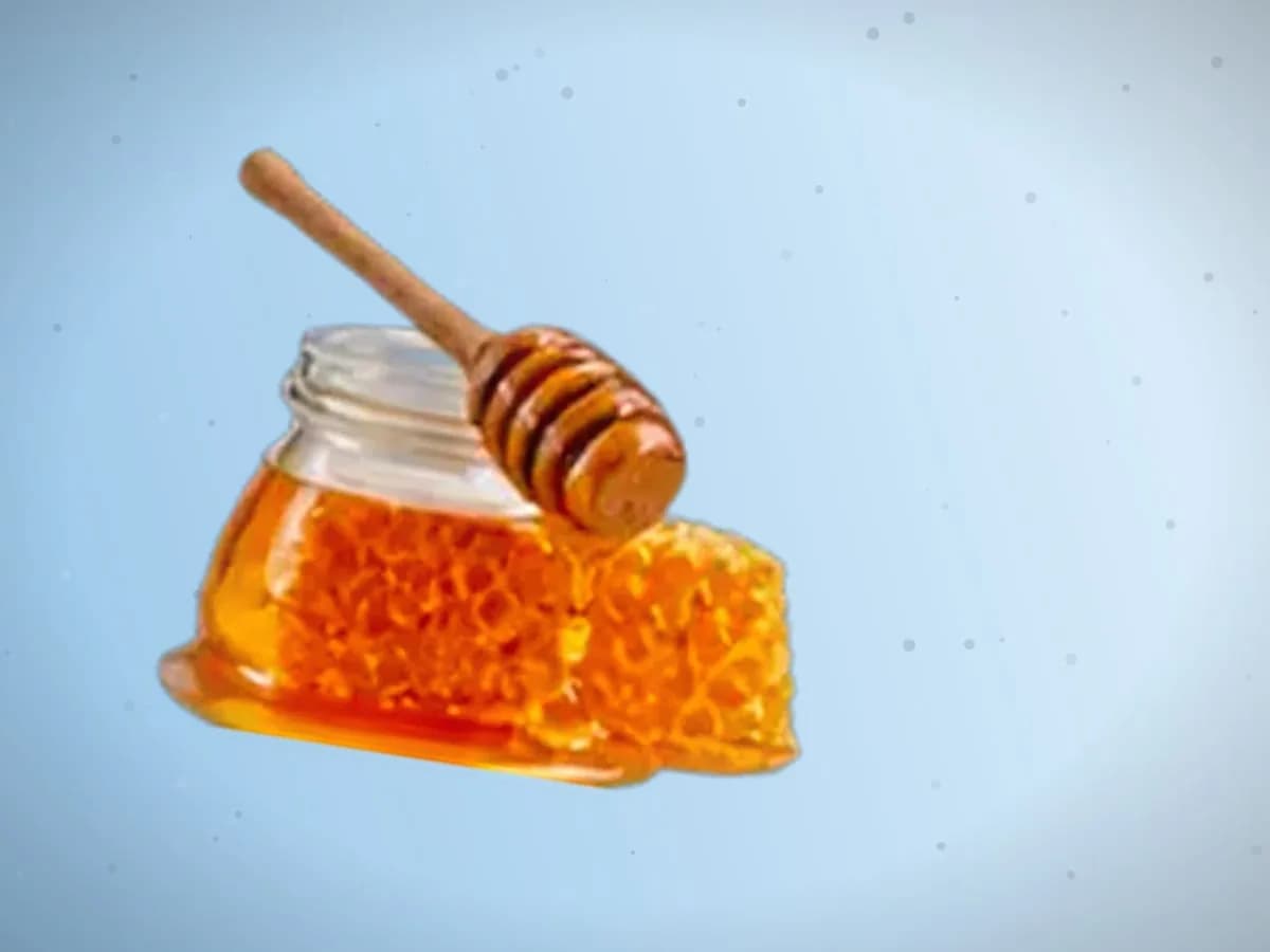 Perga sotiladi