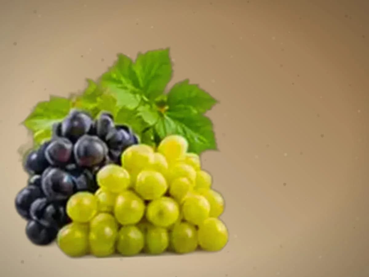 Uzum (xo‘raki) — 14000 kg, Toshkent shahri