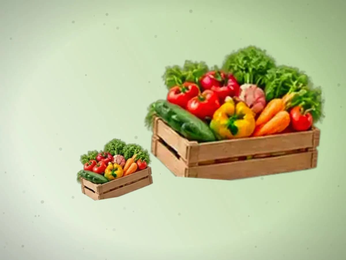 Tarvuz — 2900 kg, Sirdaryo