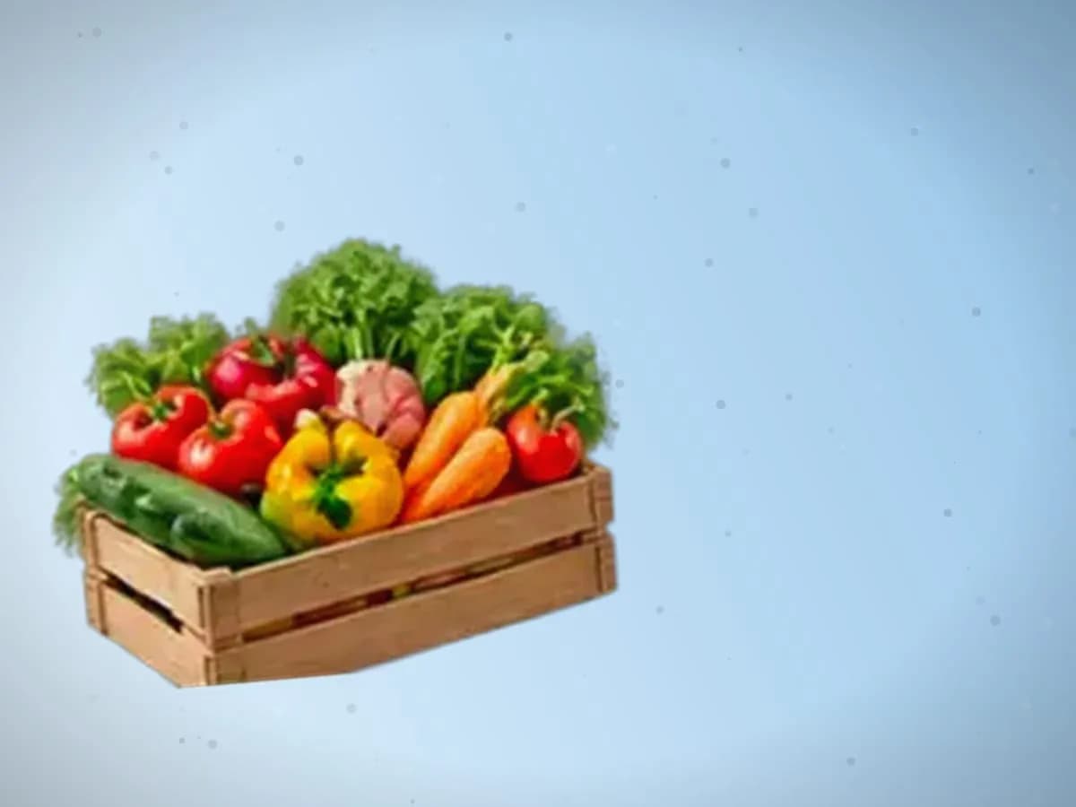 Qovoq — 2500 kg