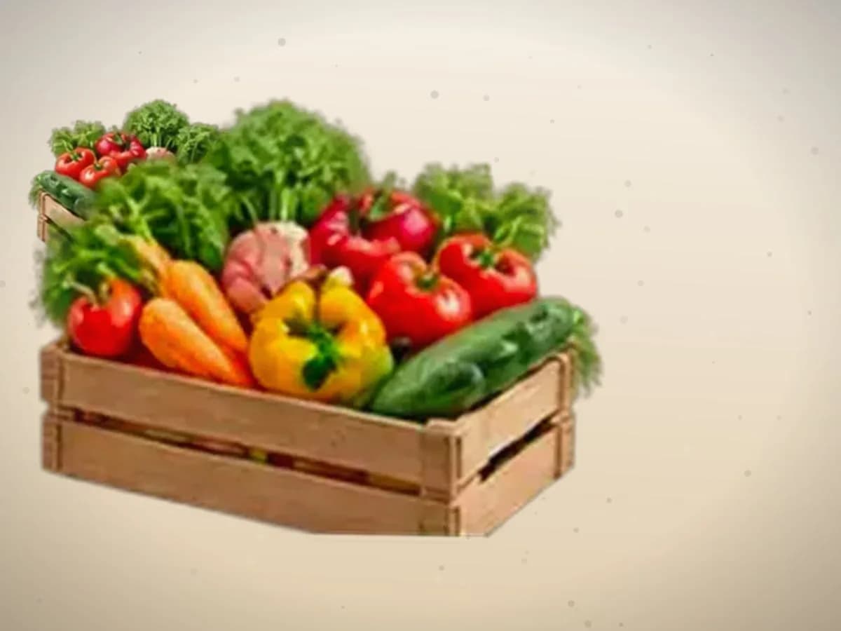 Bodring kerak — 2900 kg
