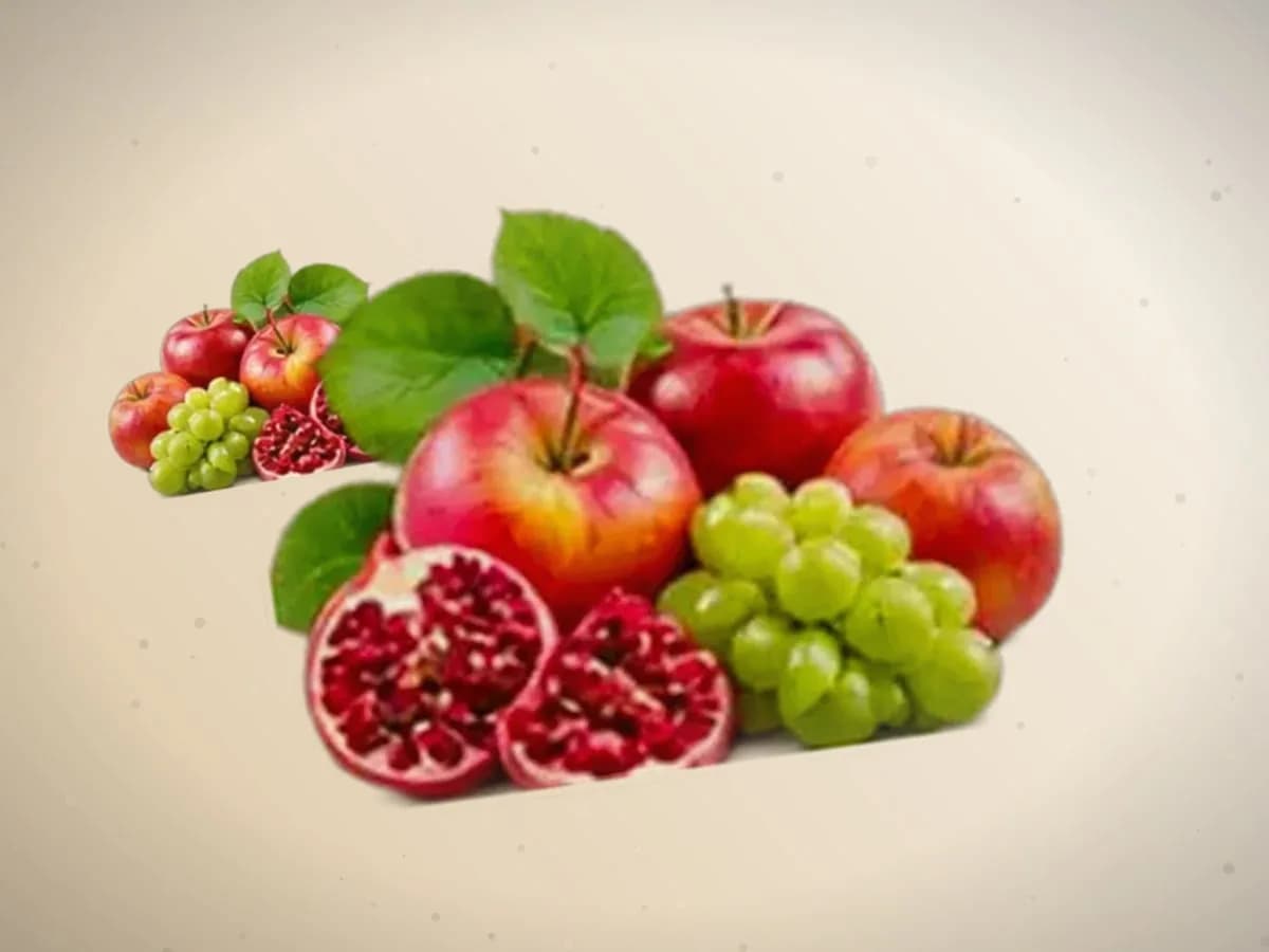 Limon kerak — 1600 kg