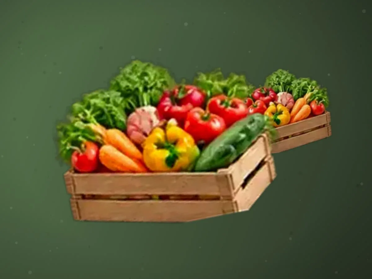 Ulgurji bodring olamiz — 10000 kg — 2