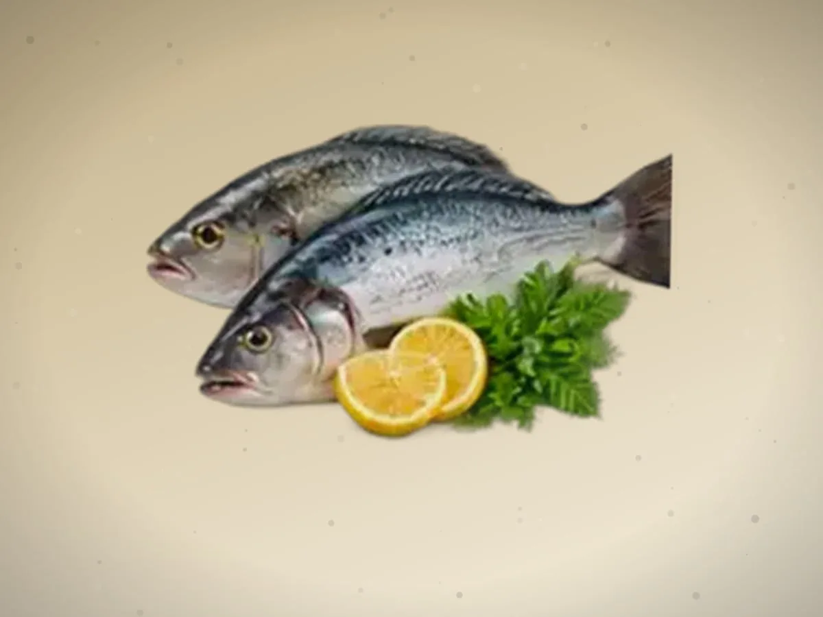 Laqqa — 2600 kg