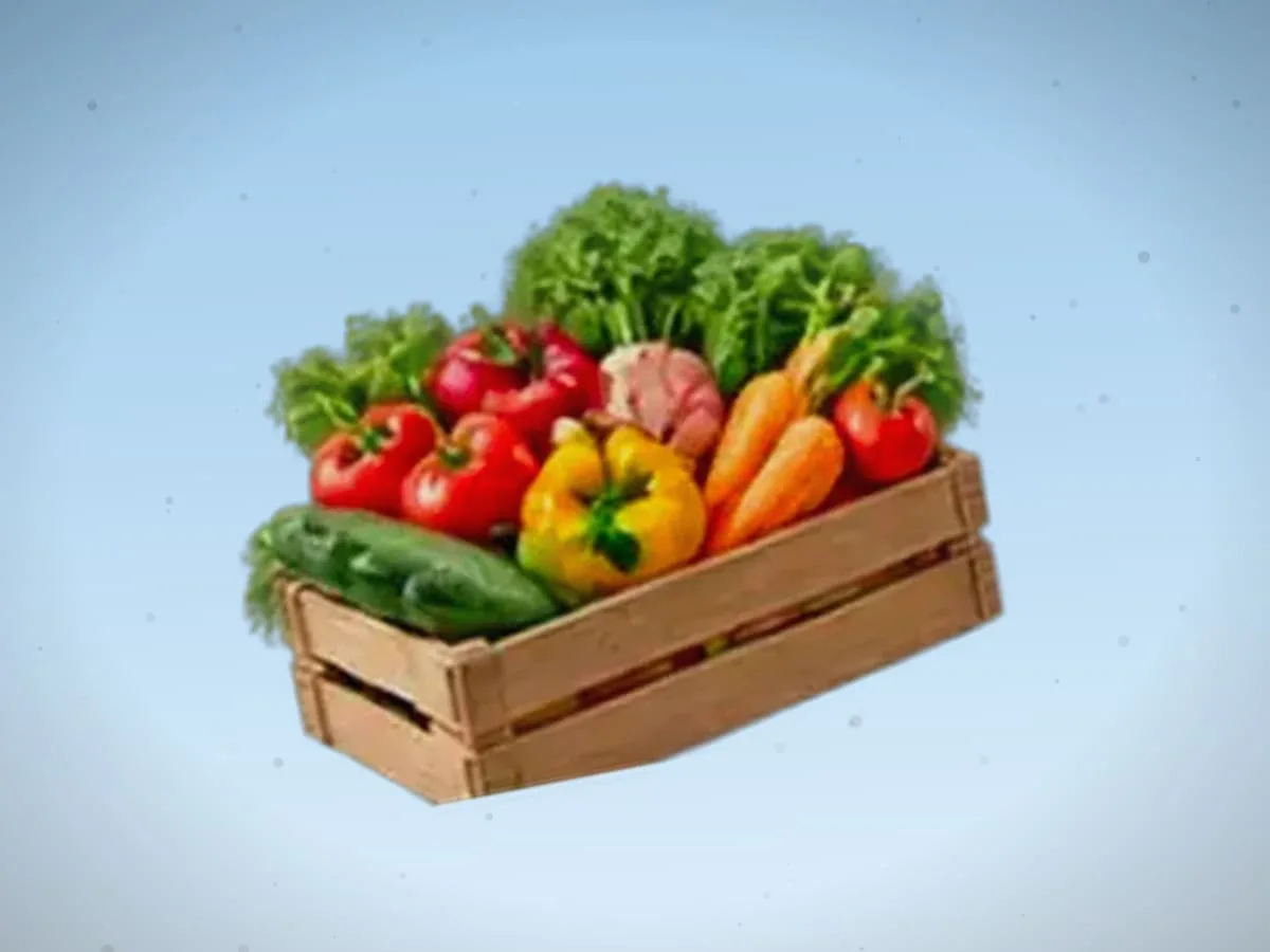 Qovun — 4700 kg