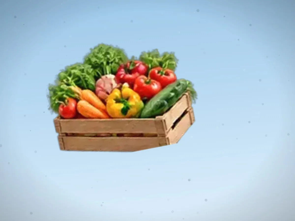 Qovoq — 1800 kg — 2