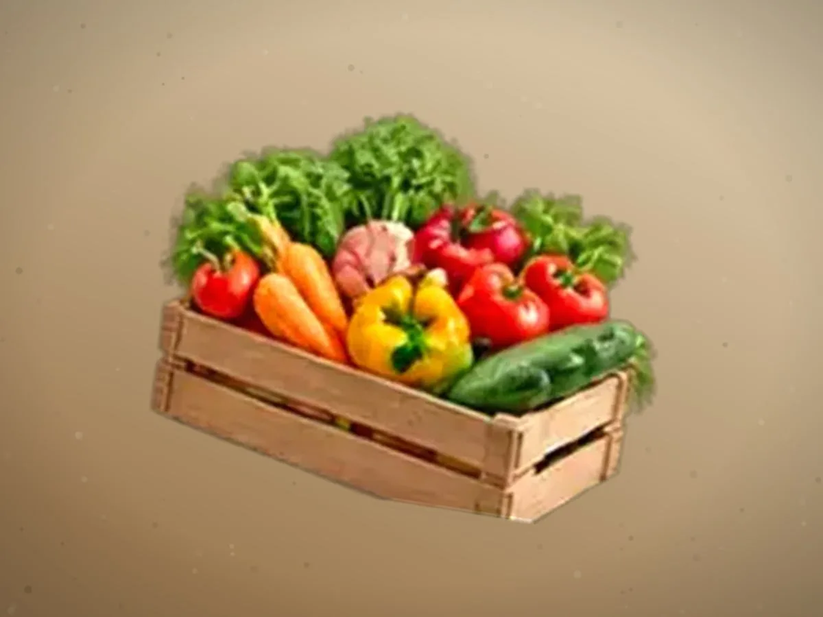 Qovun — 4700 kg — 2