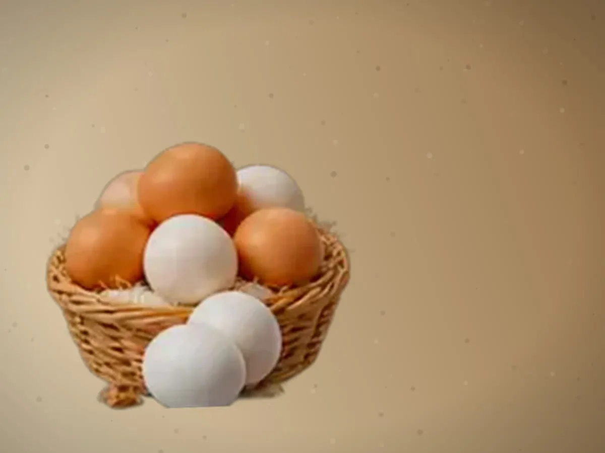 Tovuq — 16 dona, Jizzax — 2