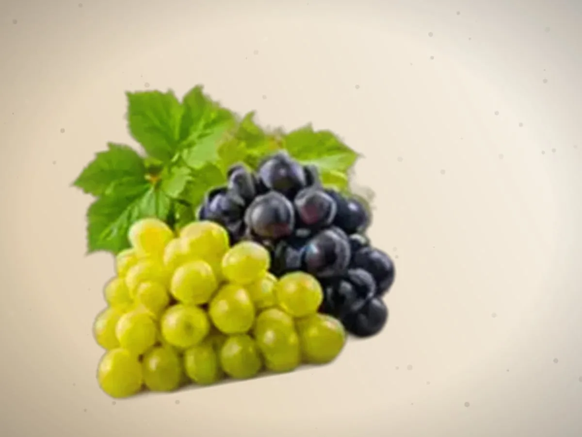 Uzum (xo‘raki) — 3700 kg — 2