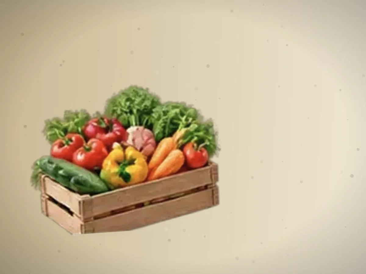 Karam — 8600 kg — 2