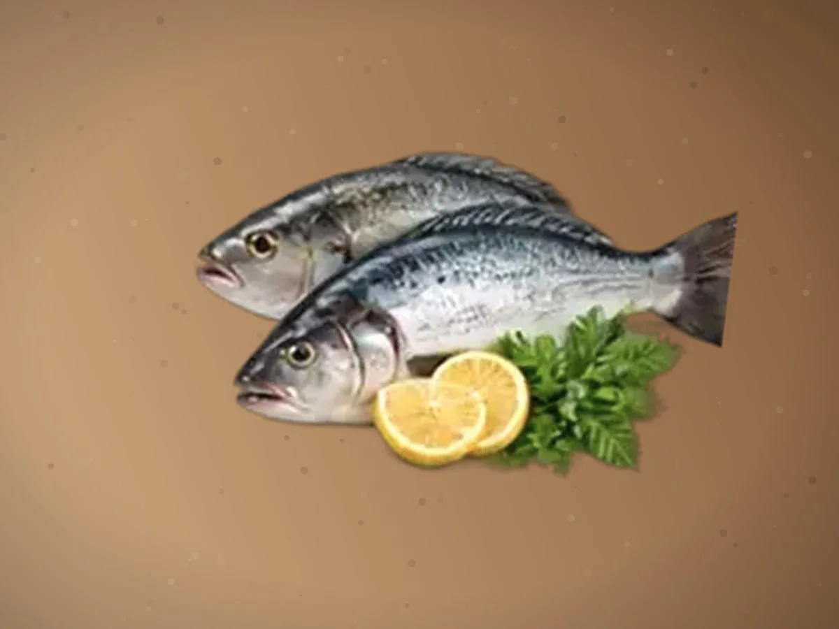 Tilapiya — 2300 kg, Namangan — 2
