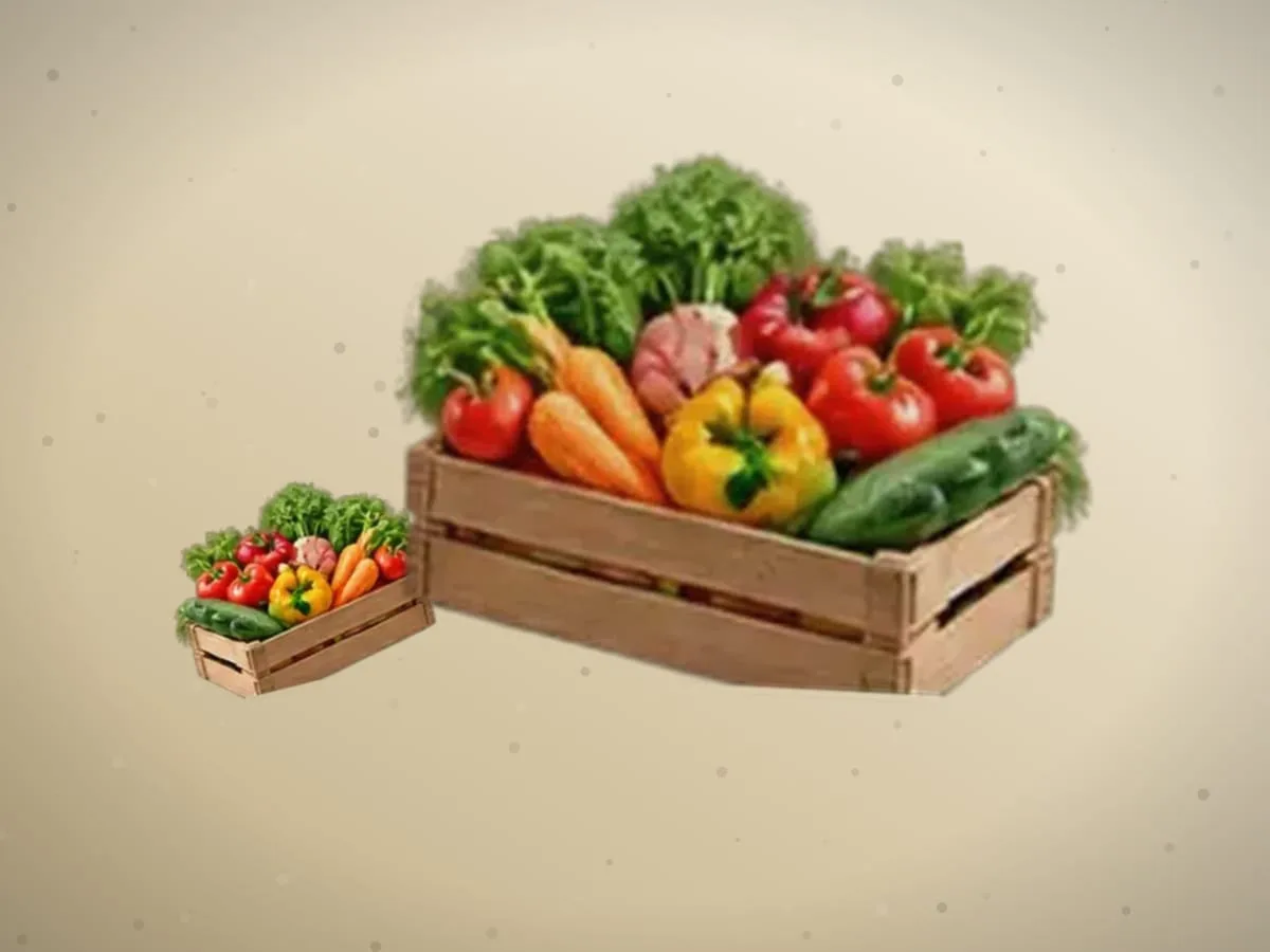 Qovoqcha — 9000 kg — 2