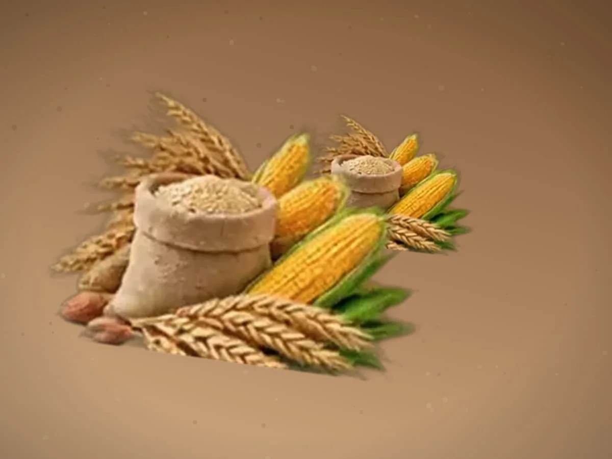 Soya sotib olaman — 2000 kg