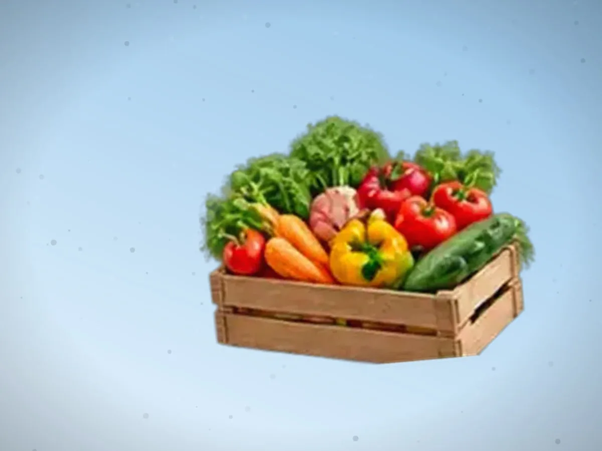 Gulkaram — 3700 kg — 2