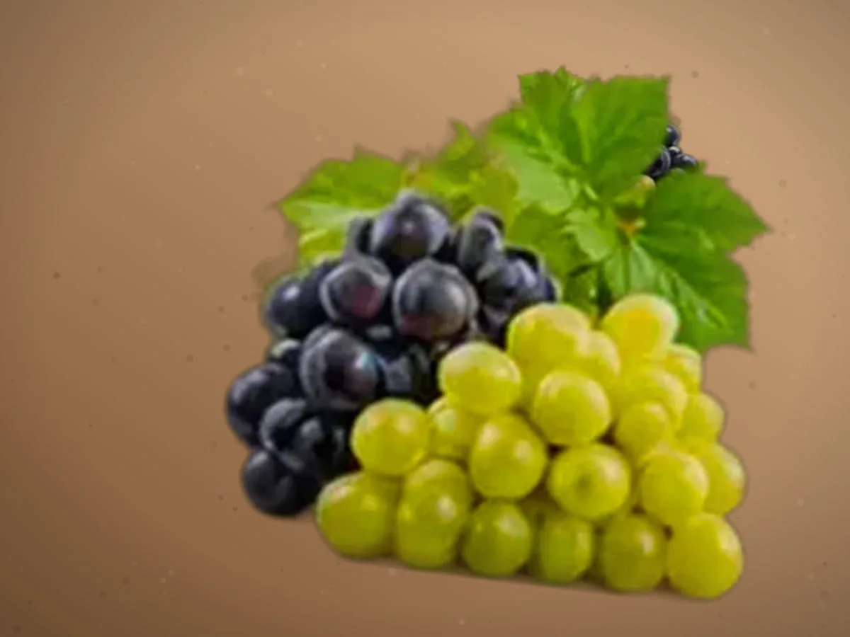 Uzum (xo‘raki) — 3700 kg