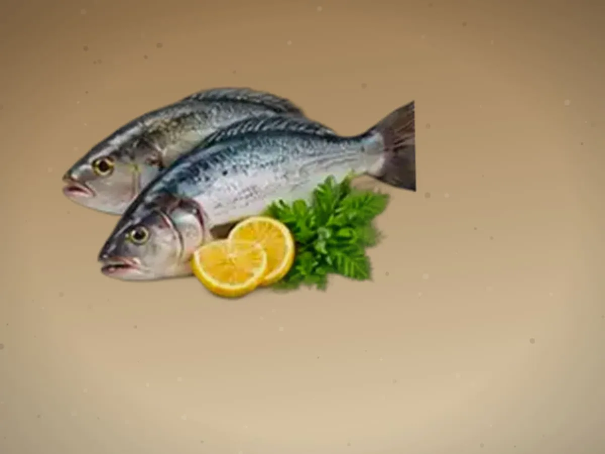 Forel — 300 kg — 2