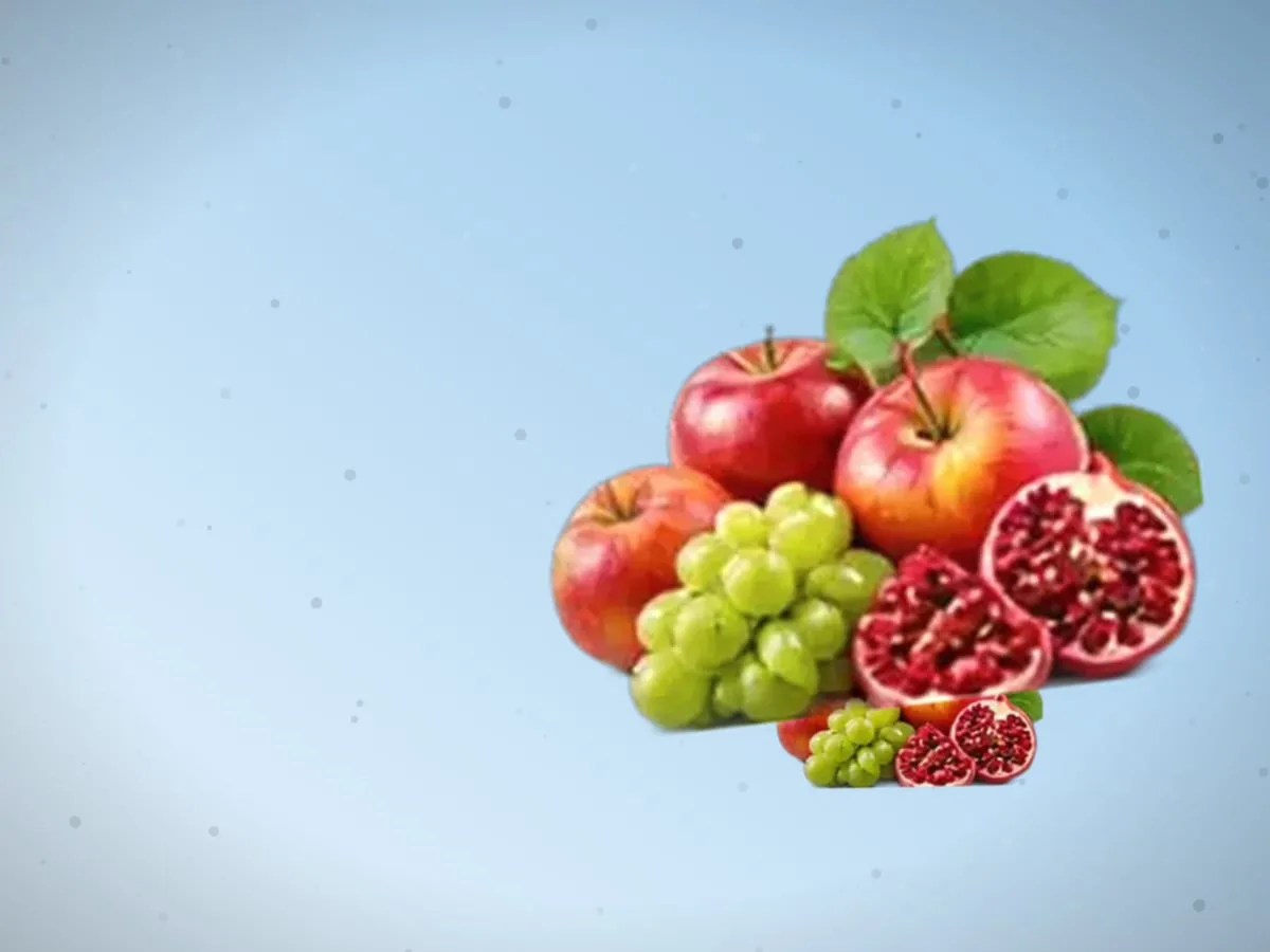 O‘rik — 8800 kg