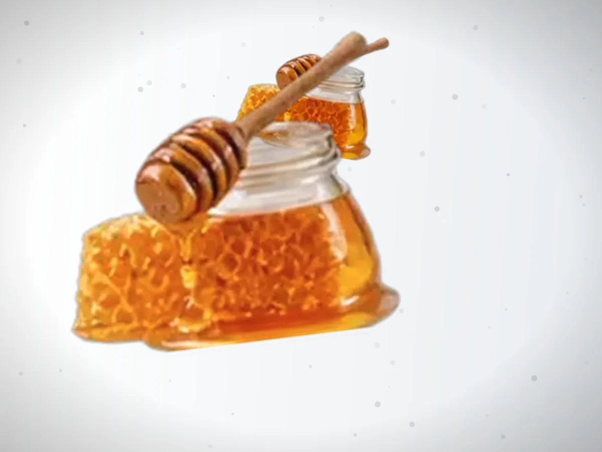 Propolis — 650 kg — 2