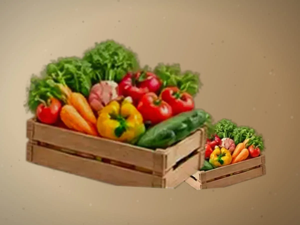 Sabzi — 2300 kg, Sirdaryo — 2