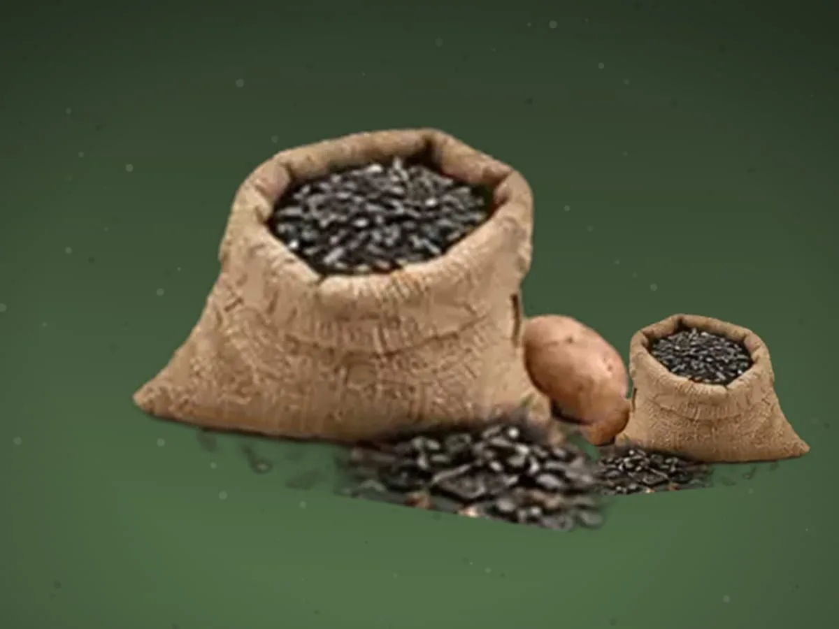 Sabzi urug‘i — 400 kg