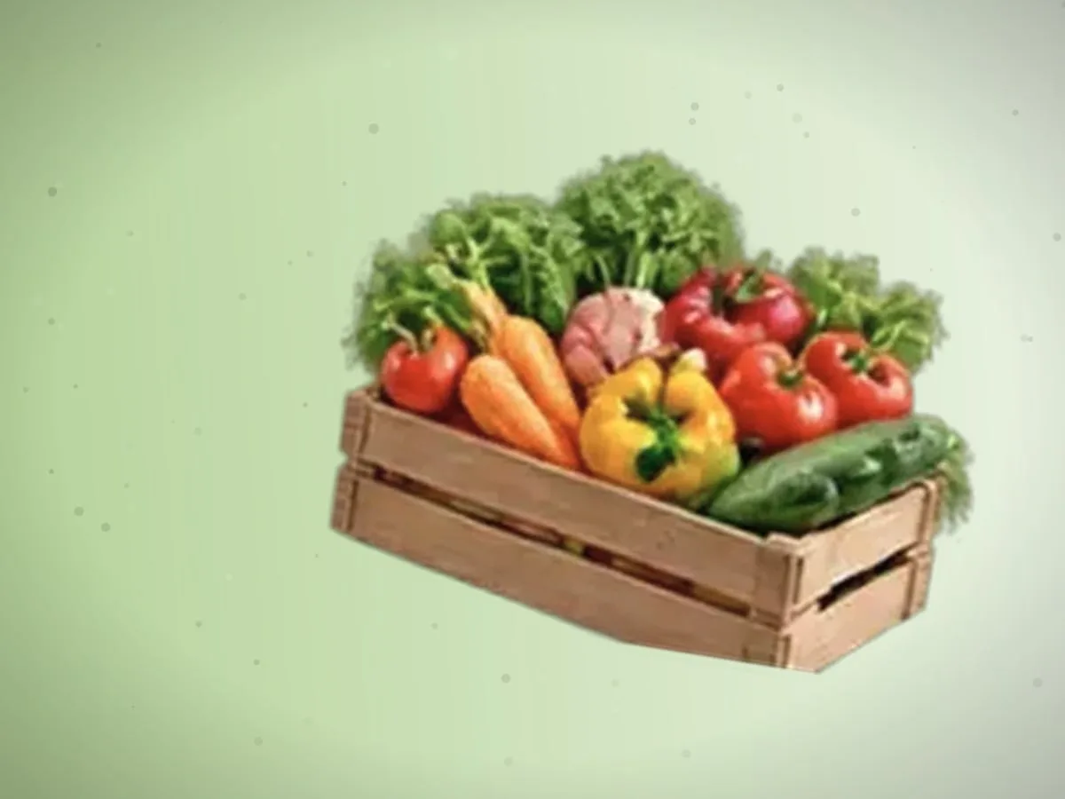 Turp — 13000 kg