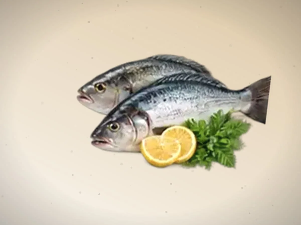 Forel kerak — 820 kg