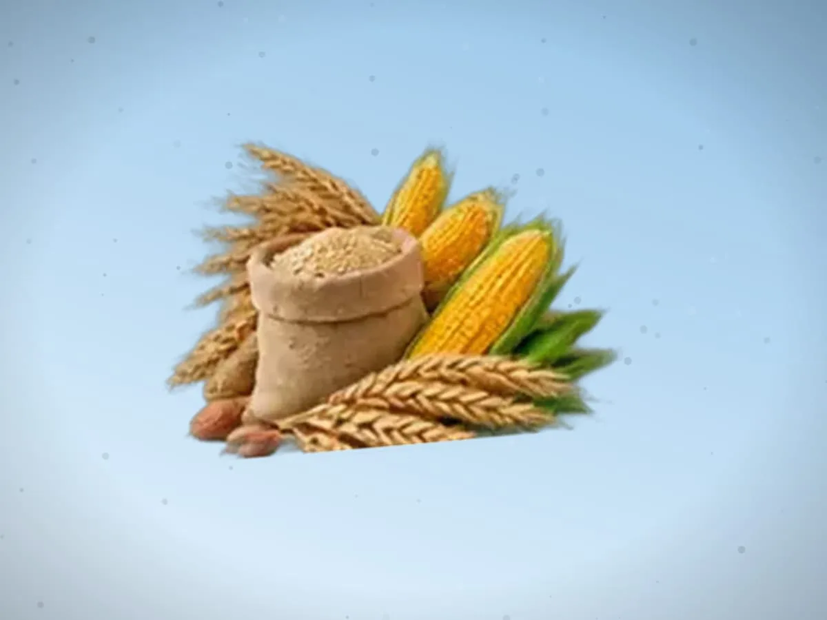 Soya sotiladi — 2