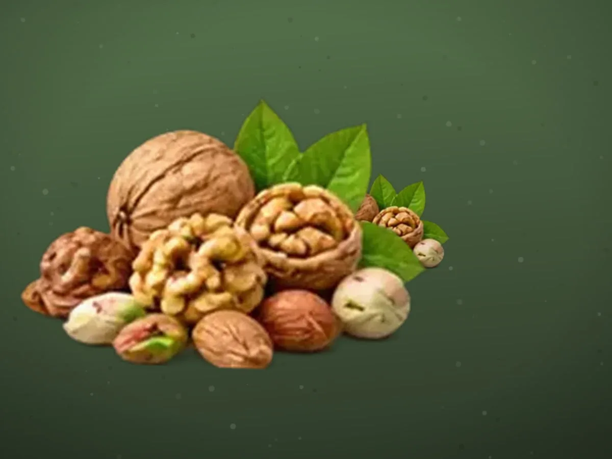 Funduq — 600 kg, Qashqadaryo — 2