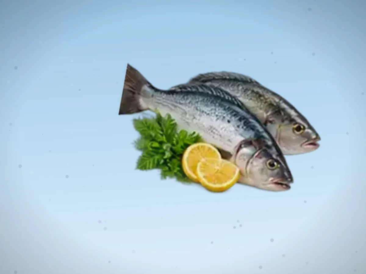 Zog‘ora baliq (karp) — 1400 kg, Toshkent viloyati