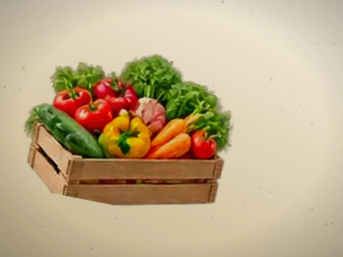 Tarvuz — 4700 kg, Toshkent shahri — 2