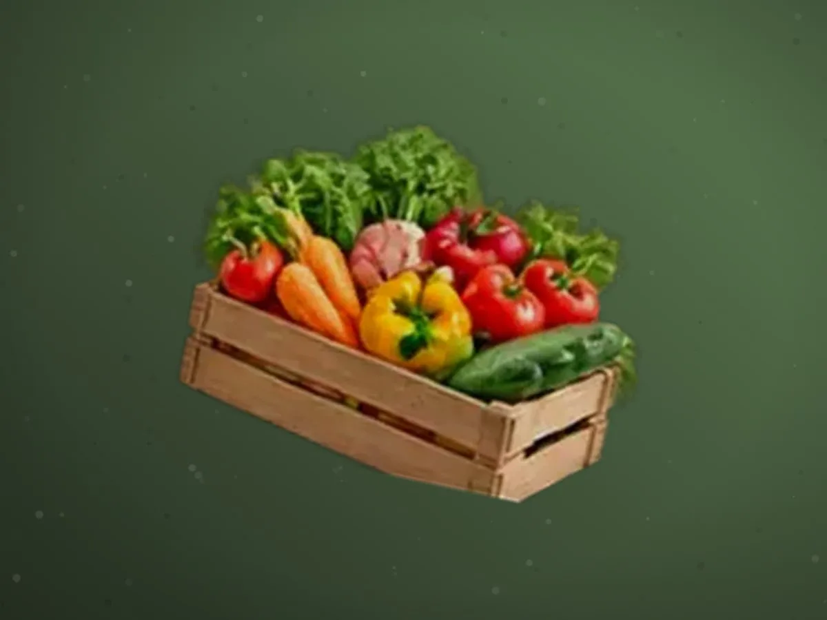 Qovoqcha — 9000 kg