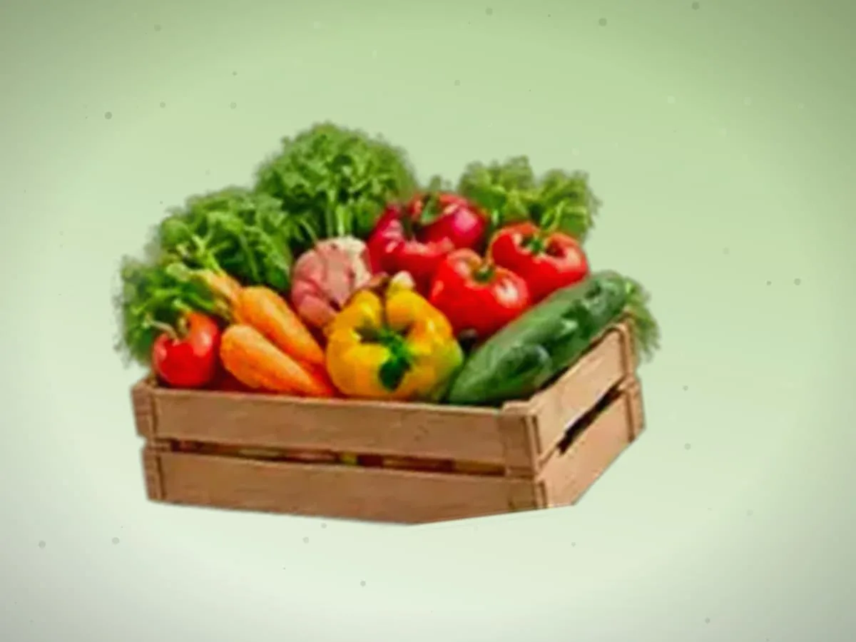 Ulgurji sabzi olamiz — 5300 kg — 2