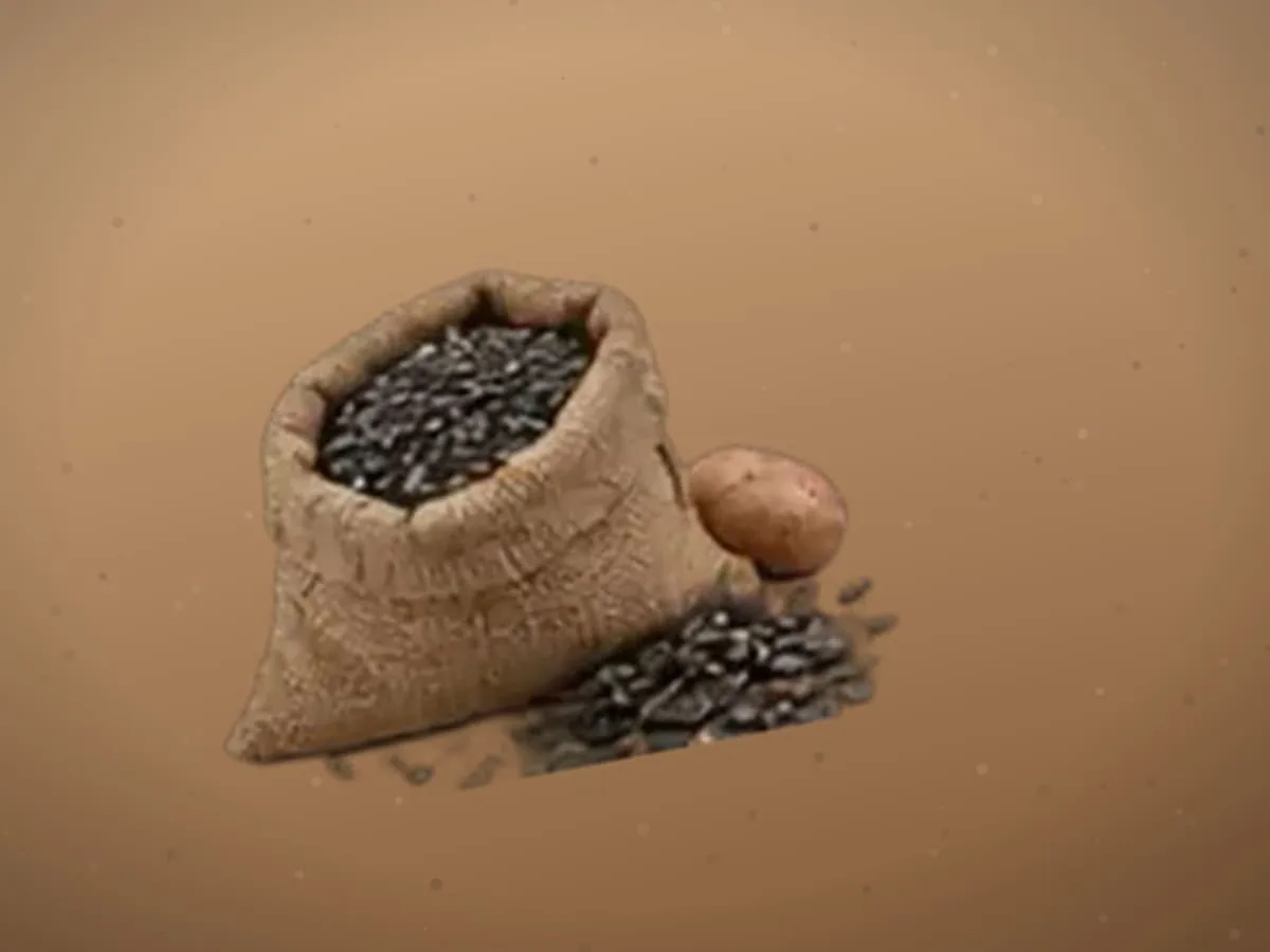 Paxta urug‘i — 360 kg, Qashqadaryo — 2