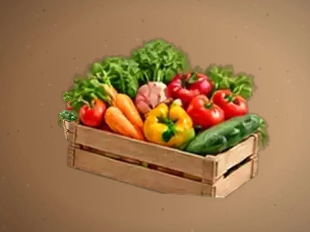 Ulgurji sabzi olamiz — 5300 kg