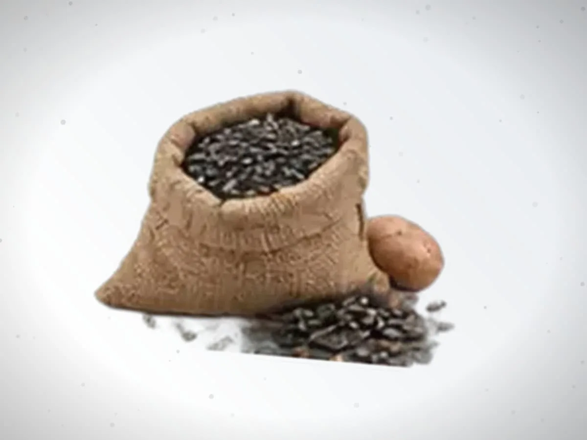 Paxta urug‘i — 420 kg — 2