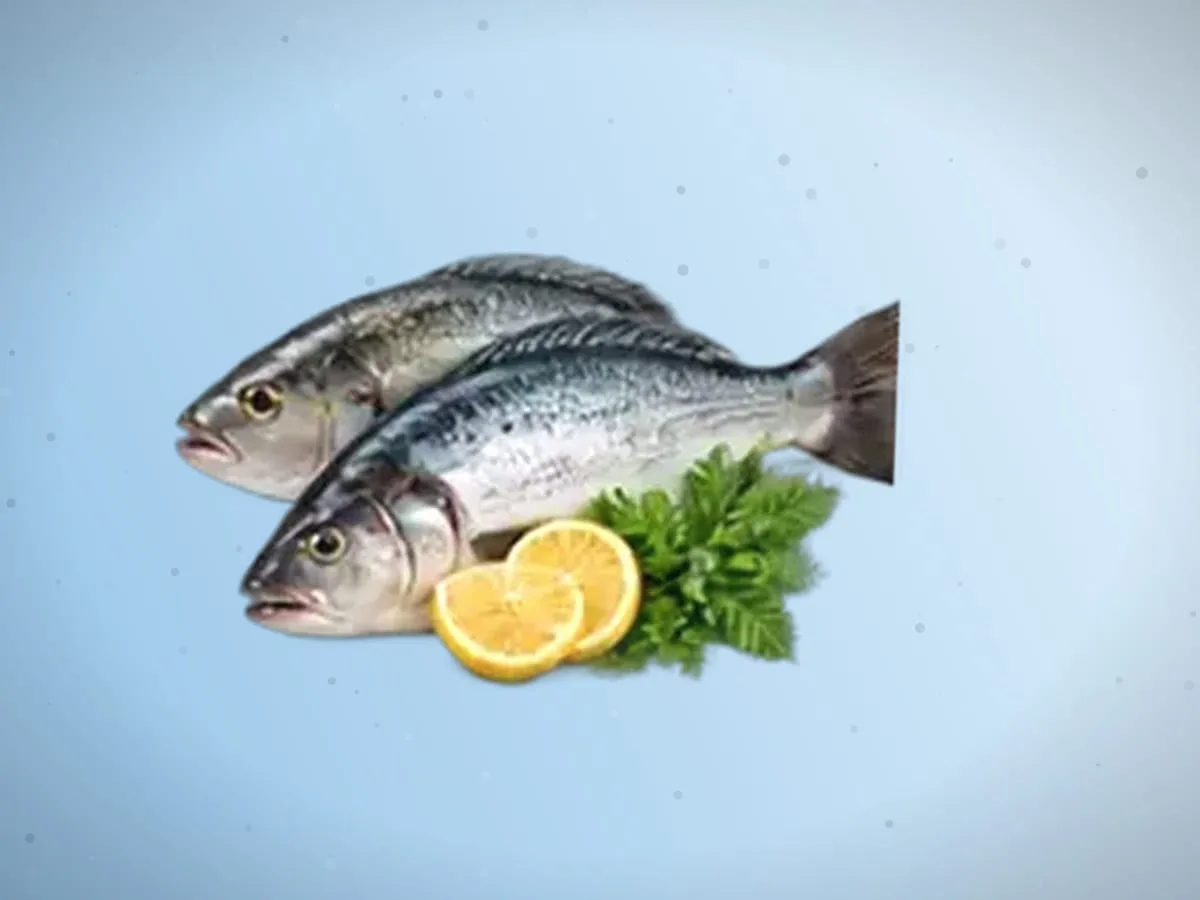 Laqqa — 2600 kg — 2