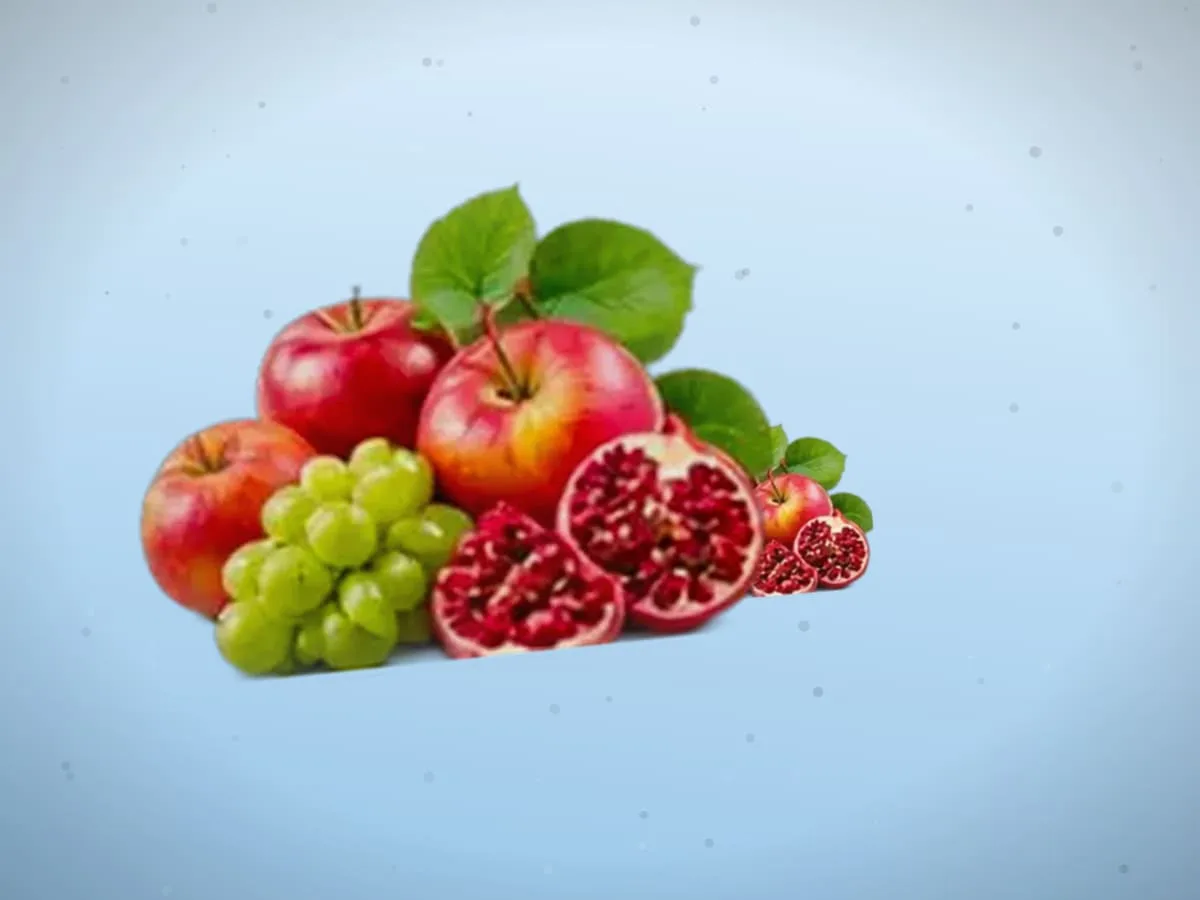 Limon — 3900 kg, Toshkent shahri — 2
